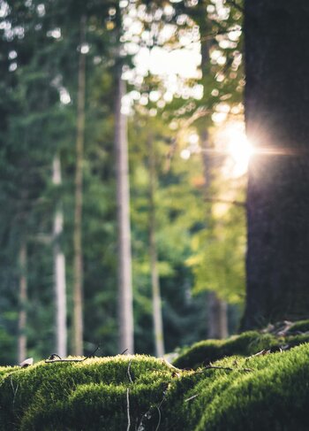 fabian-wiktor-e-imPaYqV1s-unsplash